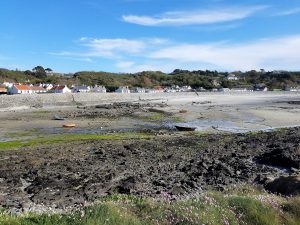 20170418_165147-2-300x225